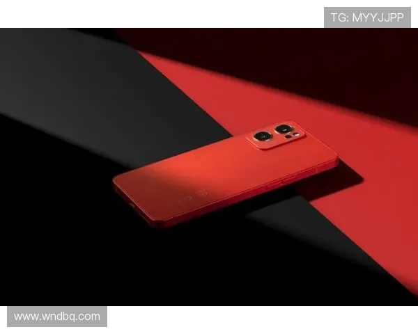 《暗花》：光影交织的迷宫，命运轮回的无间道