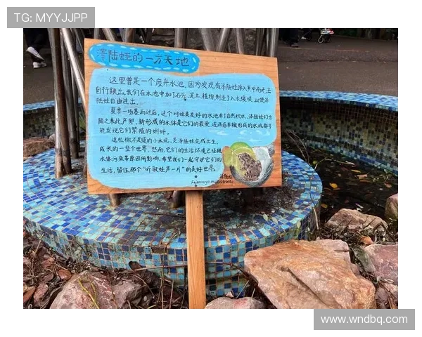 叶龙：不止于名，更在于形，一场关于生命与自然的诗意对话