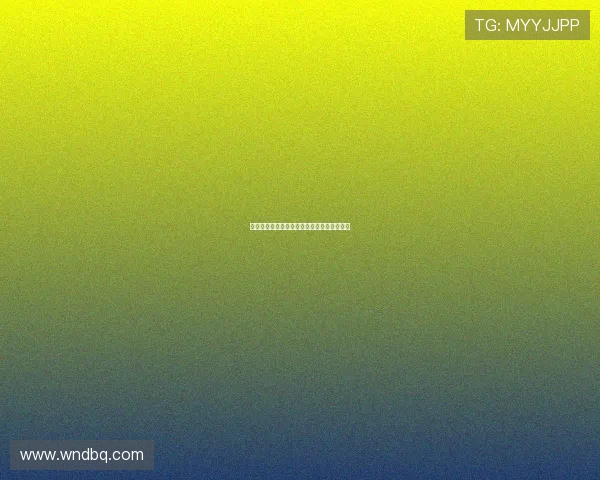 爱无界：同性婚姻，通往更平等与包容的未来